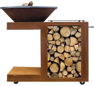 Plancha Brasero Moduleo Bucher