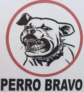 perro bravo