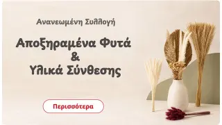 Homepage slide 2