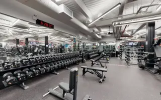 Free Weights
