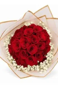 Roses Gift Wrapped