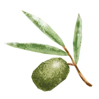 (Medium) Chilean Coratina Extra Virgin Olive Oil