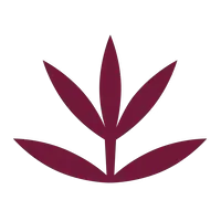 Dore Rooibos Cosmetics logo