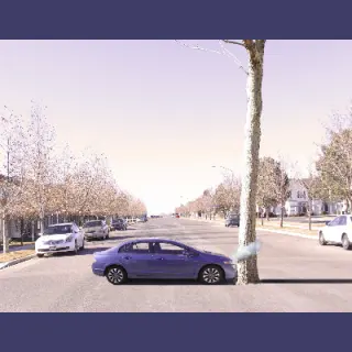 Car smacking tree services section