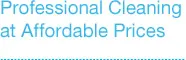 Professional Cleaning At Affordable Prices