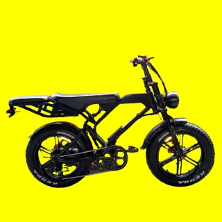 BikeRev Smooth Rider 2 48V 1000Watts Dual Person Electric Bike