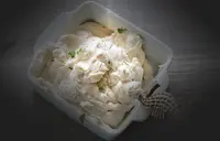 Ihr Fleischer in Zwickau - Der Fleischi