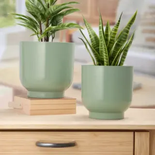 Botani Glow Planters