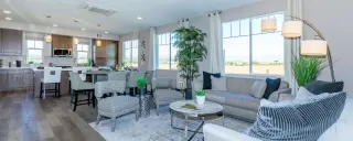 Living Room | Oxford Flats 2A