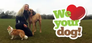 We love your dog!