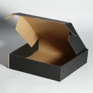 CAJA PAY 8