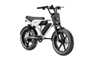 Heybike Titan