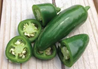 jalapeno cili papricka