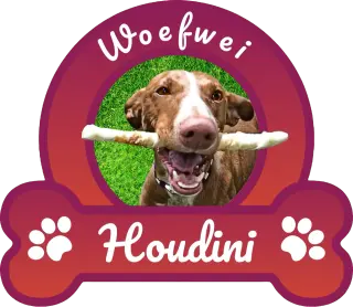 Woefwei Houdini logo
