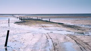 Wasser strand strasse