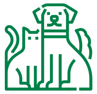 Assistência para Pet