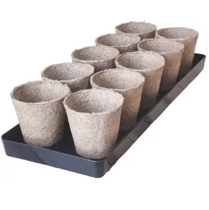 Rozsadnik domowy na parapet HORTI-T10/OK - tacka + doniczki torfowe 6cm x10