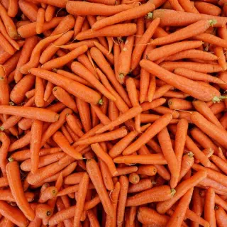 Frozen Diced Carrot