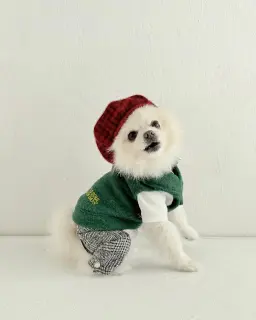 ウールベスト