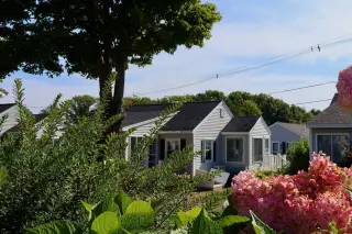 A suburban neighborhood scene with houses, large trees, shrubs, and pink hydrangea flowers under a blue sky.