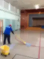 hard surface floor cleaning