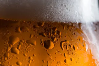 Light beer utc