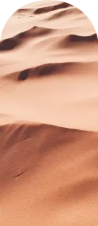 Illus sable default