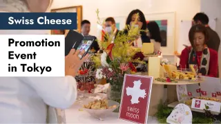 Swiss cheese promotion tokyo thumbnail