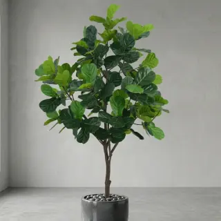 Artificial Fiddle Leaf Tree (300cm)
