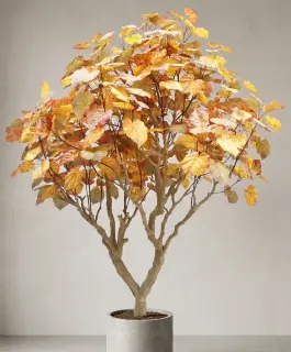 Golden Autumn Tree (250cm)