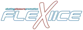 FLEXI ICE Slovakia logo