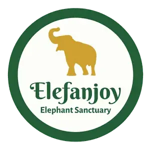 Elefanjoy logo