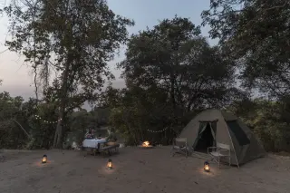 Into the Wild