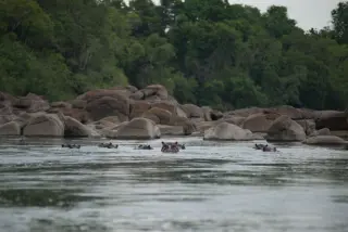 Boat cruise on the Kafue River