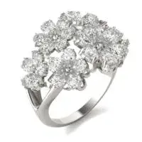 Collections coutoure