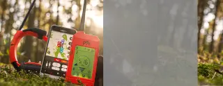 D Control termékek, GPS nyakörvek, láthatatlan kerítések, eledelek áruháza WORKDOG.HU