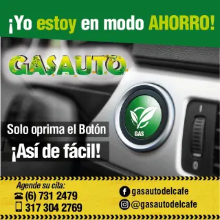 Conversion gas vehicular
