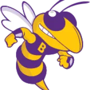 CE Byrd High School logo