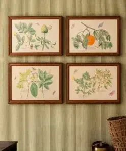 Framed Botanical Prints – 17″ × 24″