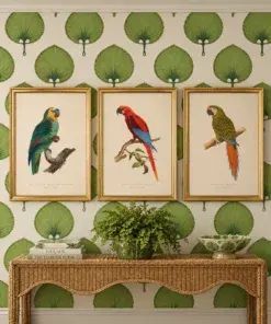 Italian Framed Exotic Bird Prints – 18″ × 25″