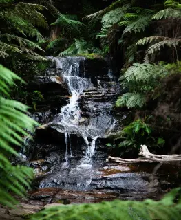 Waterfall in forest