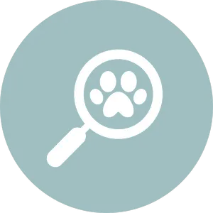 Mag paw
