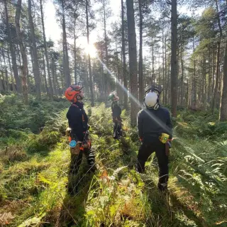 Our Team - Glasgow Tree Surgeons