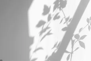 Votre texte de paragraphe