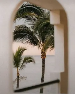 "Paysage tropical avec palmiers et arche en bord de mer, ambiance élégante et exotique pour événements de luxe - Malia Agency, agence événementielle à Antibes.