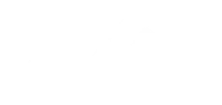 Life21 logo