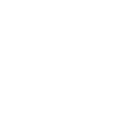 International procurement