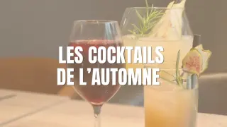 Nos suggestions ephemeres format site internet la une