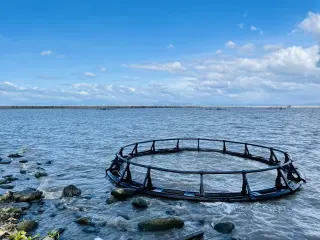 Circular metal framework partially submerged in a body of water, surrounded by rocks and waves, under a cloudy sky.