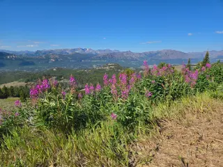 Yellowstone to Glacier National Parks Tour